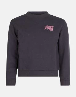 Geborduurde Sweater Donkergrijs 11 Geborduurde Sweater Donkergrijs -Kleding Verkoop 00 1098753 15
