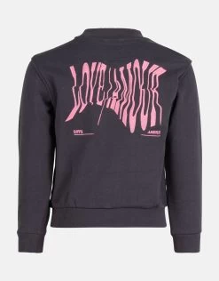 Geborduurde Sweater Donkergrijs 12 Geborduurde Sweater Donkergrijs -Kleding Verkoop 01 1098753 15