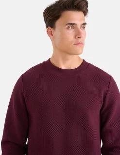 Geometrische Sweater Bordeaux -Kleding Verkoop 09 1101926 72