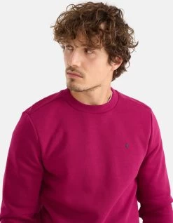 Sparkle Sweater Bordeaux -Kleding Verkoop 09 1102052 73